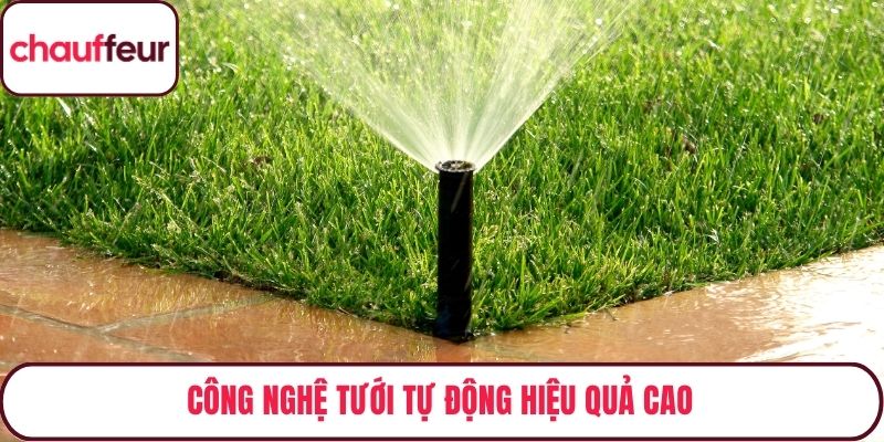 Công nghệ tưới tự động hiệu quả cao