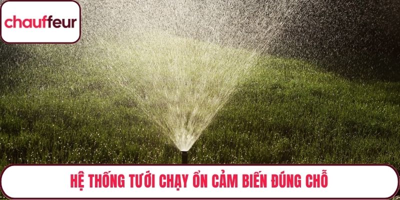 Hệ thống tưới chạy ổn cảm biến đúng chỗ