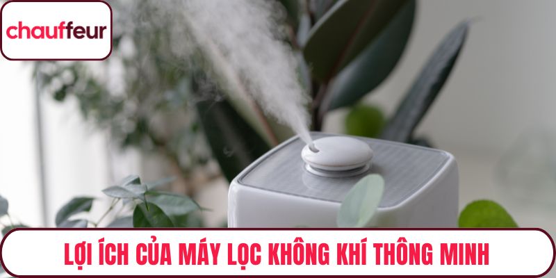 Lợi ích độc đáo của máy lọc không khí thông minh