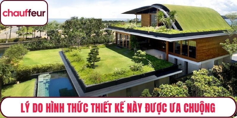 Lý do hình thức thiết kế này được ưa chuộng