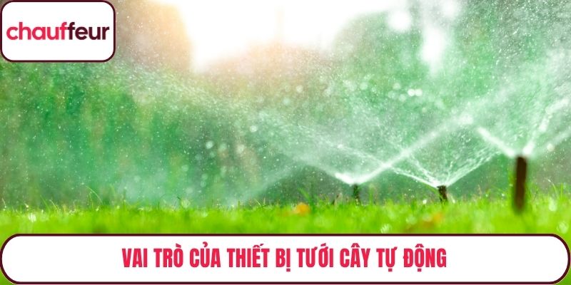 Vai trò của thiết bị tưới cây tự động
